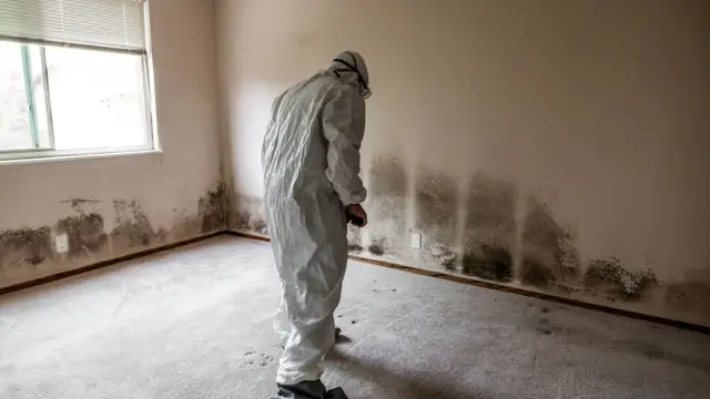 Person in a protective suit standing in an empty room with mold staining along the baseboards