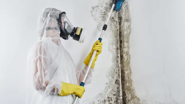 Technician in a protective suit and respirator using a pole to treat a mold-stained wall corner