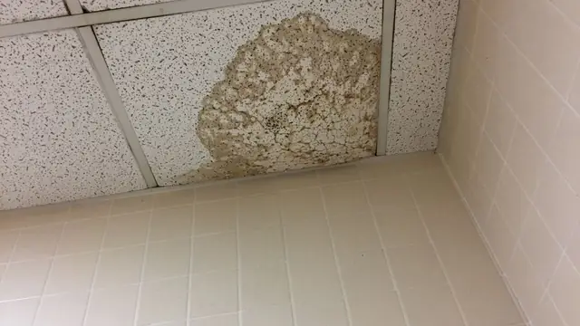 Water stain spreading across a suspended ceiling tile above a tiled wall