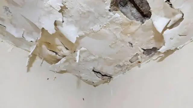 Peeling, water-stained ceiling paint and cracked plaster along a ceiling edge
